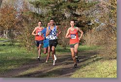 Begles 15.12.13 01 1102 * 679 x 453 * (193KB)